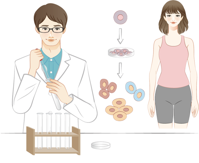 再生医療等製品とは